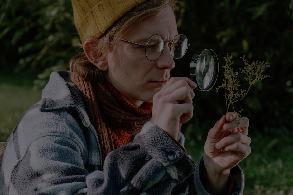 The Science of Feng Shui-Understanding How Ornaments Affect Your Environment