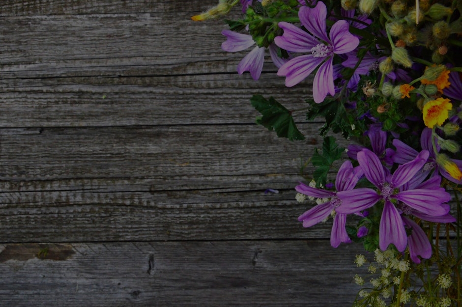 The Ultimate Guide to Feng Shui Colors and Their Impact on Your Life