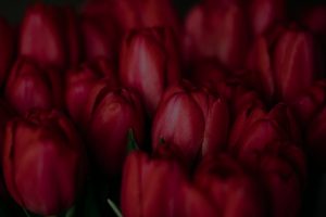 Top 5 Energy Ornaments for Attracting Prosperity in Your Life
