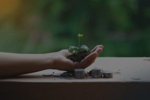 Top 5 Feng Shui Energy Ornaments for Attracting Wealth and Prosperity in Your Life