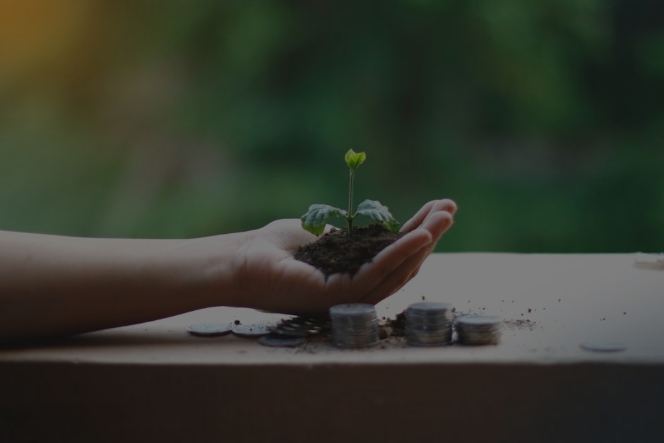Top 5 Feng Shui Items for Prosperity and Abundance in Your Life
