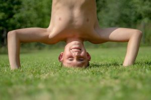 Read more about the article Top 5 Feng Shui Ornaments for Attracting Prosperity in Your Life