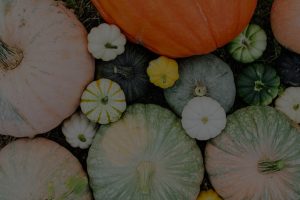 Top 5 Feng Shui Ornaments for Attracting Wealth and Abundance in Your Life