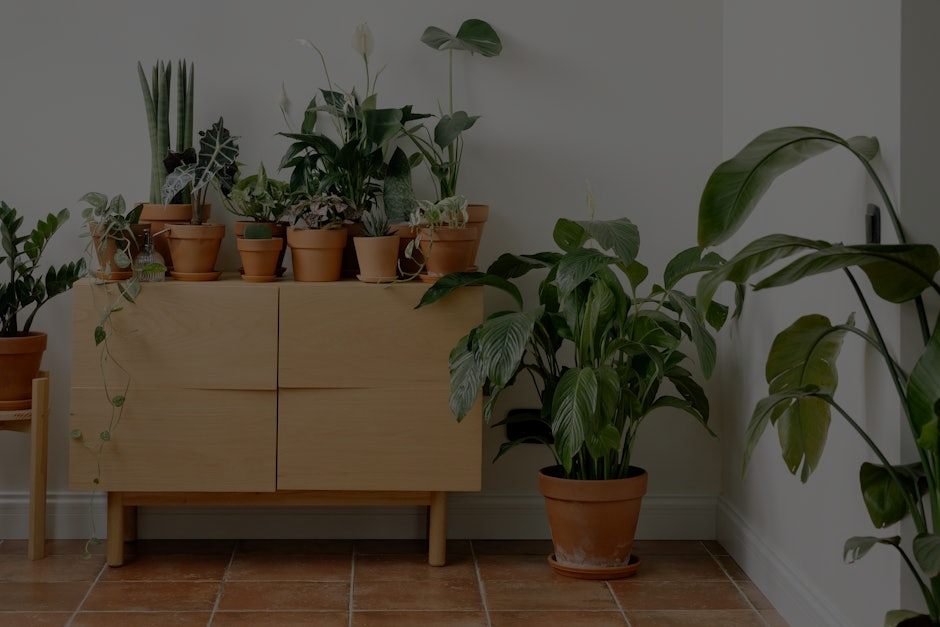 Top Feng Shui Energy Ornaments for Boosting Wealth in Your Living Space