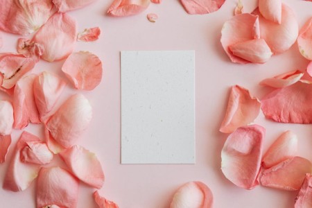 You are currently viewing Top Feng Shui Energy Ornaments to Attract Love and Romance in Your Life