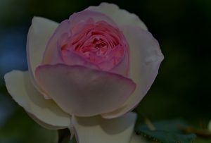 Top Feng Shui Ornaments for Attracting Love and Romance