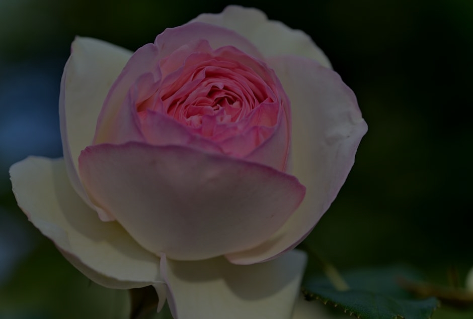 Top Feng Shui Ornaments for Attracting Love and Romance