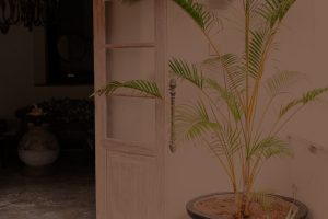 Transform Your Entryway-Key Feng Shui Elements for a Welcoming Home