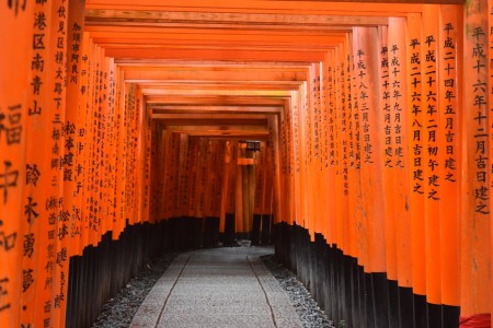 You are currently viewing Transform Your Entryway with Feng Shui-First Impressions Matter