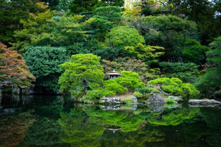 You are currently viewing Transform Your Garden-Feng Shui Ornaments for Outdoor Serenity and Balance