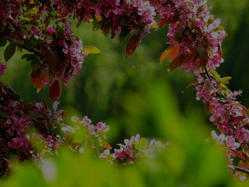Transform Your Garden-Feng Shui Ornaments to Promote Peace and Growth