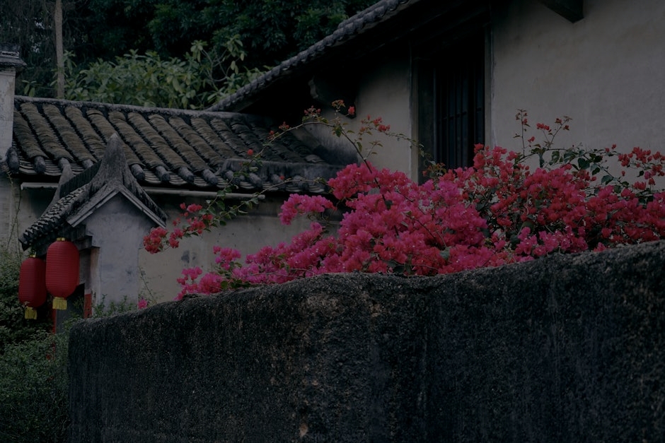 Transform Your Garden with Feng Shui-Key Ornaments for Outdoor Spaces