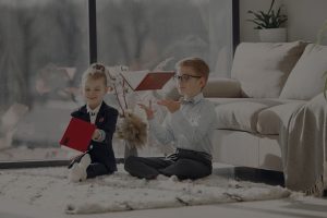Transform Your Living Room-Essential Feng Shui Decor for Positive Vibes