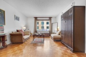 Read more about the article Transform Your Living Room with Feng Shui Energy Ornaments for Positive Vibes
