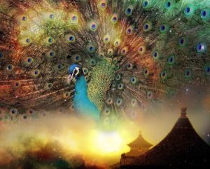 Read more about the article Transform Your Living Space-Essential Feng Shui Ornaments for a Harmonious Home