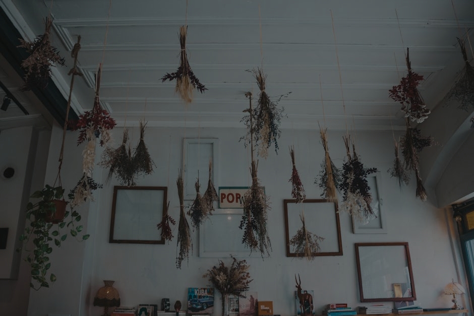 Transform Your Living Space-Feng Shui Decor Ideas for American Homes