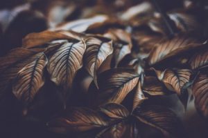 Read more about the article Transform Your Office Vibes-Feng Shui Tips for a Productive Work Environment