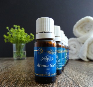 You are currently viewing Transform Your Office with These Essential Feng Shui Energy Ornaments