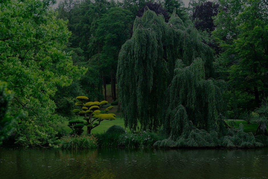 Transform Your Outdoor Space-Feng Shui Garden Ornaments for Positive Vibes