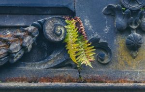 Read more about the article Understanding Feng Shui-Essential Ornaments for Beginners and Enthusiasts