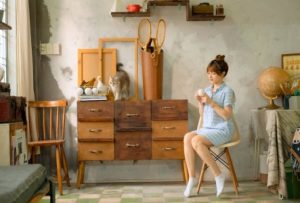 Read more about the article Understanding Feng Shui-How Ornaments Influence Your Daily Life