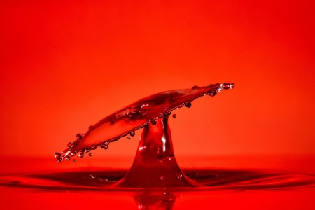 You are currently viewing Understanding the Impact of Feng Shui on Your Health and Well-being