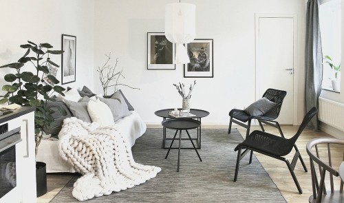 You are currently viewing Understanding the Power of Feng Shui Energy Ornaments in Modern Living