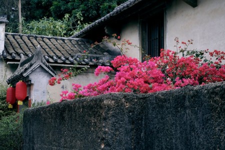 You are currently viewing Understanding the Power of Feng Shui Energy Ornaments in Your Garden