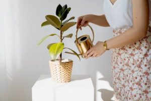 Read more about the article Unlock Your Potential-Feng Shui Ornaments to Inspire Personal Growth