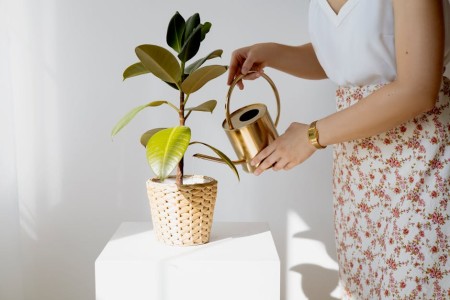 You are currently viewing Unlock Your Potential-Feng Shui Ornaments to Inspire Personal Growth