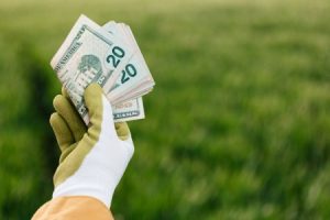 Read more about the article Unlocking Wealth-Feng Shui Energy Ornaments for Financial Prosperity