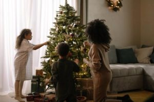 Read more about the article Unlocking Wealth-Feng Shui Ornaments to Attract Prosperity in Your Home
