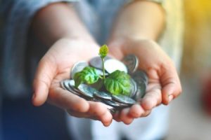 Read more about the article Using Feng Shui Symbols to Improve Your Financial Prosperity