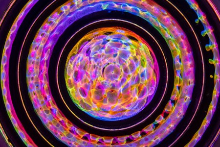 You are currently viewing Using Feng Shui to Enhance Your Family\’s Harmony with Energy Ornaments