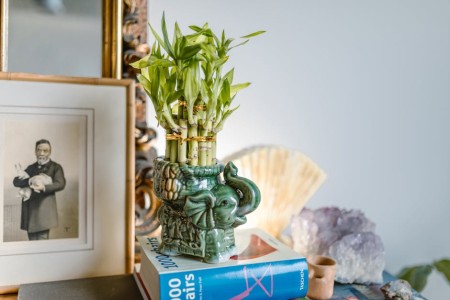 You are currently viewing Using Feng Shui to Enhance Your Meditation Practice-Tips and Tools