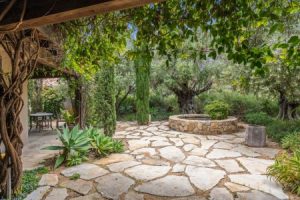 Read more about the article Elevate Your Outdoor Space-Feng Shui Garden Decor Ideas