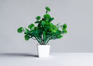 Read more about the article Feng Shui Ornaments-A Guide to Creating a Calming Bedroom Environment