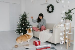 Read more about the article Feng Shui Ornaments for Manifesting Your Goals-Tips and Tricks