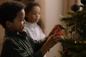 Read more about the article Feng Shui Ornaments for Protection-Safeguarding Your Home