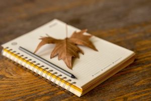 Read more about the article Feng Shui Ornaments-The Key to a Peaceful Home Office Setup