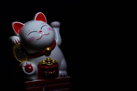 You are currently viewing Feng Shui Solutions for Attracting Wealth and Prosperity in Your Home