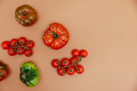You are currently viewing Feng Shui Tips-Best Ornaments for Small Spaces