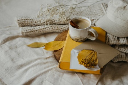 You are currently viewing Feng Shui Tips-Choosing Energy Ornaments for a Balanced and Inviting Entryway