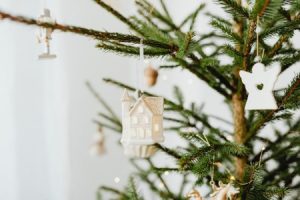 Read more about the article Feng Shui Tips for New Homeowners-Essential Ornaments to Consider