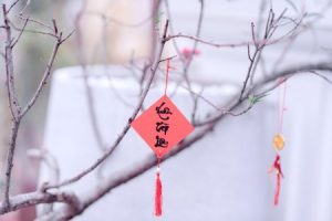 Read more about the article Feng Shui Tips for New Homeowners-Ornaments that Bring Good Fortune