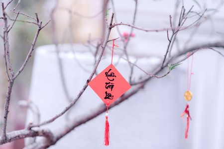 You are currently viewing Feng Shui Tips for New Homeowners-Ornaments that Bring Good Fortune