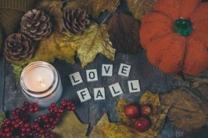 Read more about the article Feng Shui Tips for Seasonal Changes-Refresh Your Energy with Ornaments