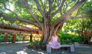 Read more about the article Finding Balance-Feng Shui Energy Ornaments for Mental Well-Being