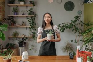 Read more about the article Finding Balance-How Feng Shui Ornaments Can Improve Your Relationships