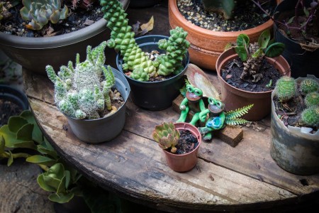 You are currently viewing Harnessing Nature-Feng Shui Ornaments That Bring the Outdoors In